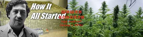 бошки Нефтегорск