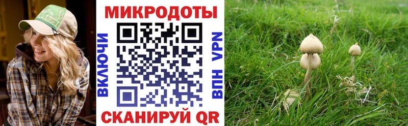 мориарти официальный сайт  Ярославль  Псилоцибиновые грибы GOLDEN TEACHER 